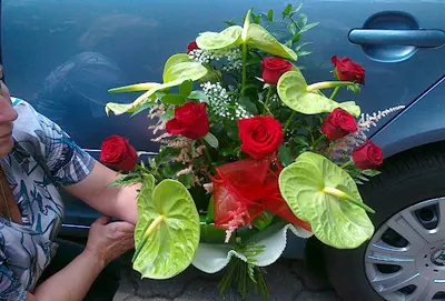 Kwiaciarnia Ewa Małota Kwiaty Wieńce